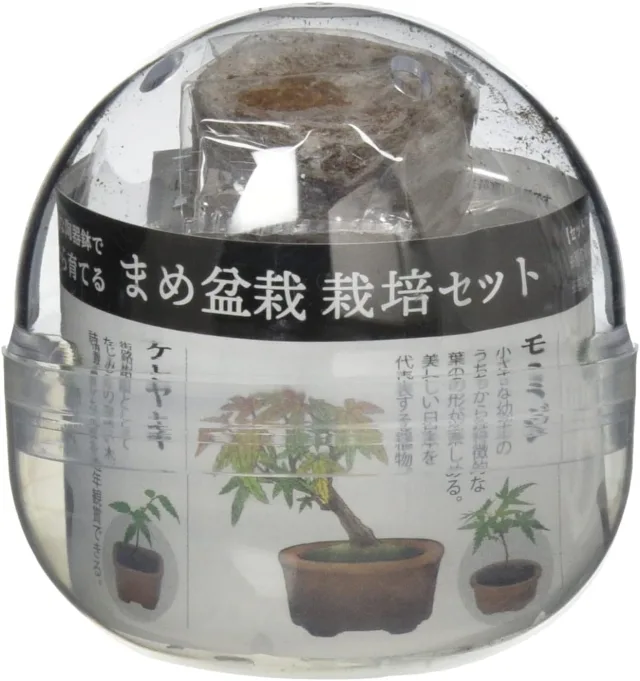 聖新陶芸 育てるカプセル まめ盆栽